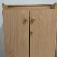 جاکفشی سالم
