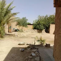 فروش زمین ومنزل ۵۹۲ متری در بیضا|فروش زمین و ملک کلنگی|شیراز, پانصد دستگاه ارتش|دیوار