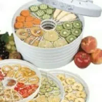 میوه و سبزی خشک کن ثانی