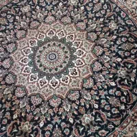 انواع وسایل منزل بسیار شیک و نو|فرش|گرگان, |دیوار