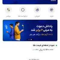 درآمد تضمینی