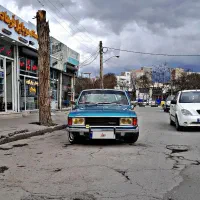 پیکان ‌کلکسیونی