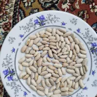 لوبیا کرم 5تن