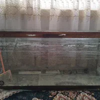 اکواریوم
