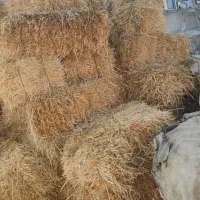 پریس جو آرپا