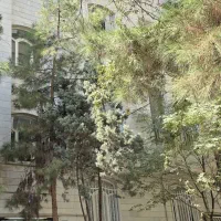 50-متر-2خواب-سازمان-برنامه-شمالی