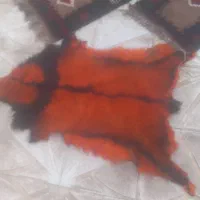 پوست  و چرم  وقالیچه دستباف|فرش|گرمسار, |دیوار