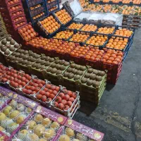 کارگر میوه فروشی