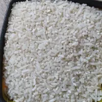 برنج نیم دانه|خوردنی و آشامیدنی|رشت, بیجارپس|دیوار