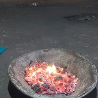 ذغال کبابی و بسته بندی تخته درجه ۱|عمده‌فروشی|تهران, تهرانپارس غربی|دیوار