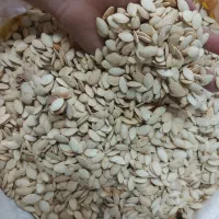 خشکبار و حبوبات الغدیر|عمده‌فروشی|قم, کلهری|دیوار