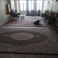 موکت در حدنو