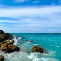 بلیط استخر دریا