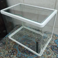 اکواریوم