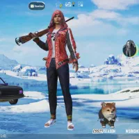 اکانت پابجی