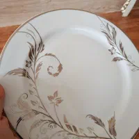 چینی ظریف و مارک دار|ظروف سرو و پذیرایی|بروجرد, |دیوار