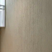 رنگ و پتینه و میکروسمنت ساختمان نقاشی ساختمان|خدمات پیشه و مهارت|لار, |دیوار