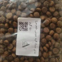 غذای گربه