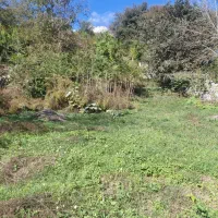 فروش ۷۵۱متر زمین دور دیوار با بر ۲۱متری ویوعالی|فروش زمین و ملک کلنگی|شاندرمن, |دیوار