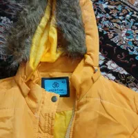 کاپشن نونو|لباس|شاهین‌شهر, فردوسی|دیوار