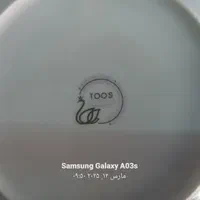 سرویس چینی ۱۲ نفره توس چینی|ظروف سرو و پذیرایی|شیراز, ترمینال باربری|دیوار