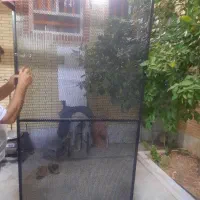 رگال طوری دار اماده  محکم و مقاوم|فروشگاه و مغازه|جهرم, |دیوار