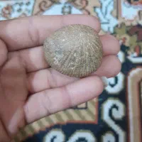 فروش سنگ های قیمتی وفسیل