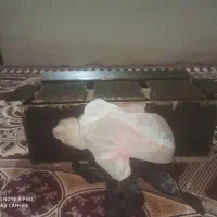 بلوک زنی|ابزارآلات|چابهار, |دیوار