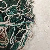 تور محاصره ایی بندرلنگه