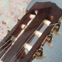 گیتار آنتونیو آپاراچیو|گیتار، بیس، امپلیفایر|قائمشهر, |دیوار