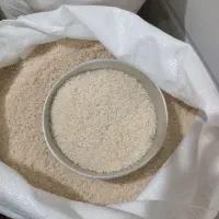 برنج هاشمی،  شابج محصول امسال