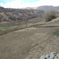 زمین کشاورزی در روستای کریک