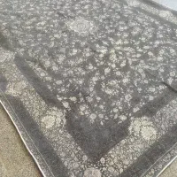 سکونت