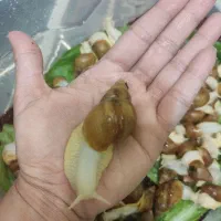 تخفیف ویژه