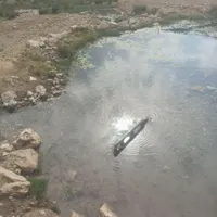 گم شدن دو راس بره