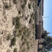 زمین فروشی تجاری و مسکونی شهرک گلخانی|فروش زمین و ملک کلنگی|صابری, |دیوار