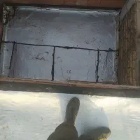 ایزوگام زیر قیمت بازار فوری|خدمات پیشه و مهارت|کرمان, |دیوار