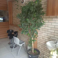 رهن و اجاره ساندویچی با لوازم کامل آماده کار