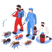 سمپاشی منازل علیه حشرات موذی