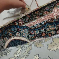 عروس هلندی سخنگو|پرنده|کبودرآهنگ, |دیوار
