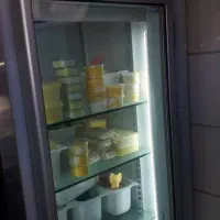 فریزر ایستاده