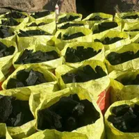 فروش مستقیم انواع زغال کبابی|عمدهفروشی|تهران, قلهک|دیوار