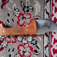 گازن زنجان نوری
