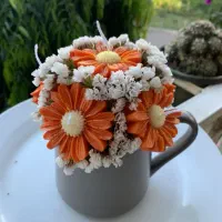 انواع گیف بابونه وباکس های خوشگل