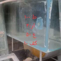 دنیای آکواریوم