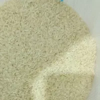 برنج فجر