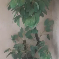 درخت گیلاس مصنوعی