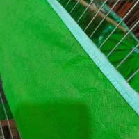 سهره داغسر کار داده نرشم موجود هست چهار تخم آماده