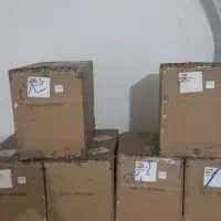 فقط با 300 میلیون  Antminer Z15PRO 840ksol