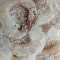 میگو|خوردنی و آشامیدنی|قشم, |دیوار